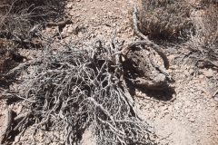 20250914_131612-scaled