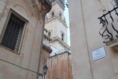 20241120_1533521-scaled