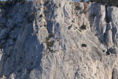P1020124-scaled