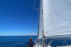 IMG-20240628-WA0029