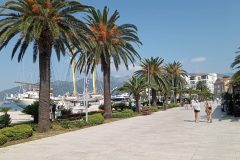20240804_095838-scaled