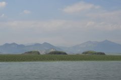 20240806_160349-scaled