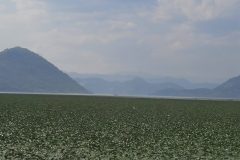 20240806_160431-scaled
