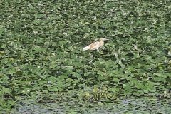 20240806_160656-scaled