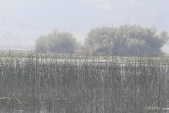 20240806_162417-scaled
