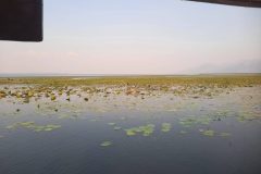 20240806_182147-scaled