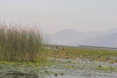 20240806_182257-scaled