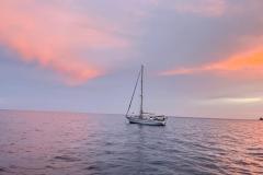 IMG-20251110-WA0012