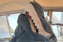 IMG-20251110-WA0028