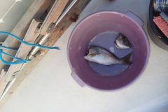 20241027_124957-scaled