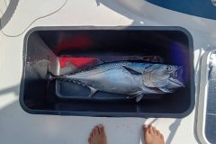 20240830_132508-scaled