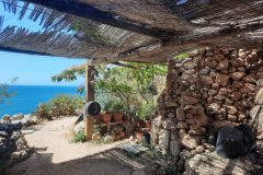 20250726_115200-scaled