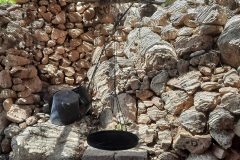 20250726_115210-scaled