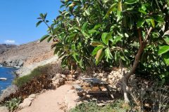 20250726_115237-scaled