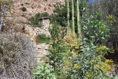 20250726_120300-scaled