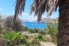 20250726_122157-scaled