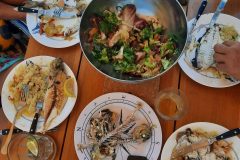 20250726_1520031-scaled