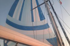 20250509_200439-scaled