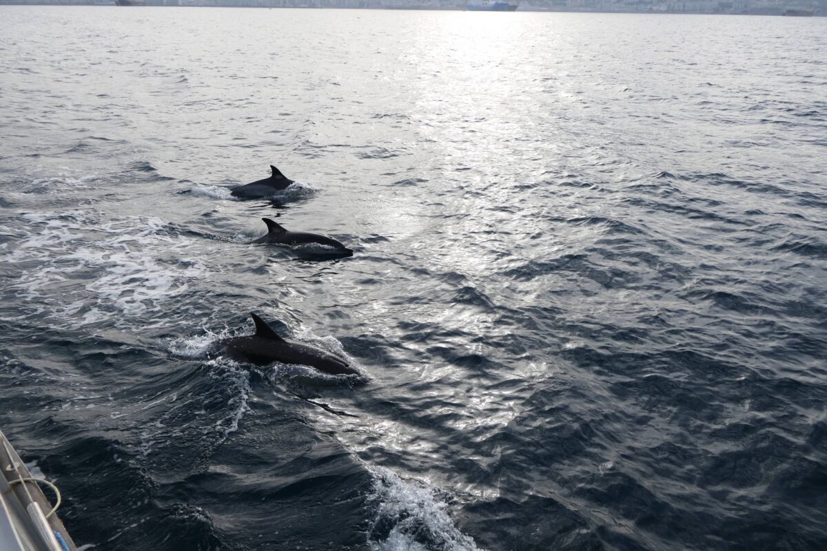 Die große Überfahrt – mit GYPSEA das erste Mal im Atlantik