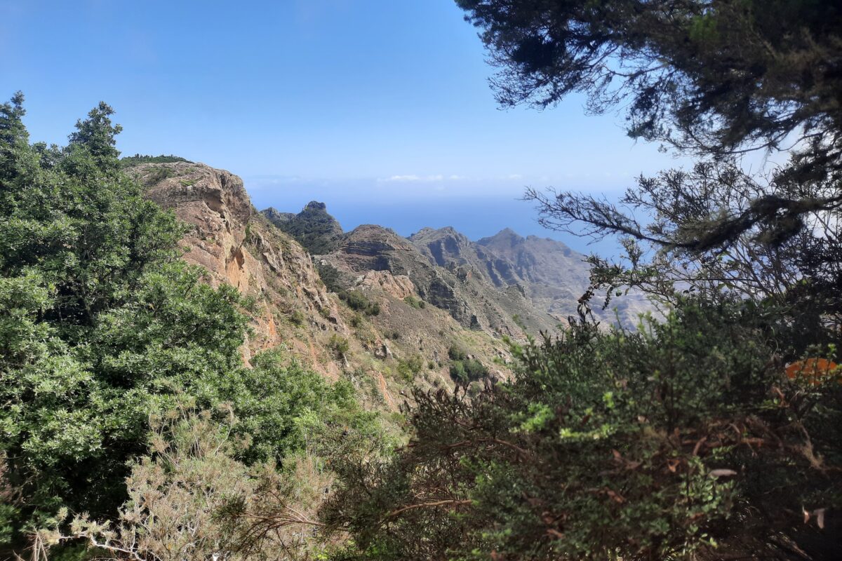 Johanna und Clemens zu Besuch. Teil II: Teneriffa